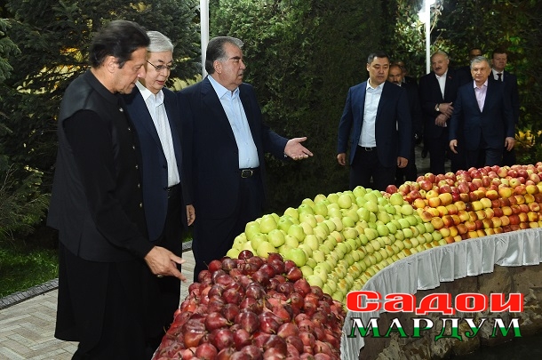 51482861607_65e4df25b5_o