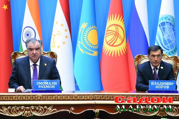 51487259553_fbe42785a2_o