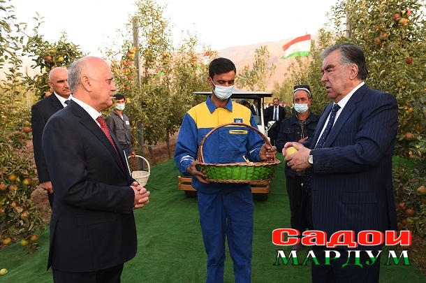 51500248396_19a13daf32_o