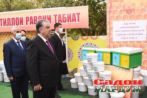 51522515633_937bdb1869_o