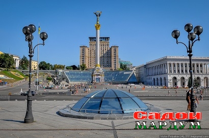 POL_7335