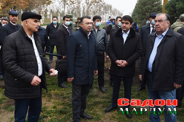 51678387761_3a979fbb36_o