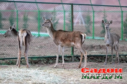 51731378444_42cf1c9797_o