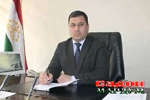 ректори ддтт