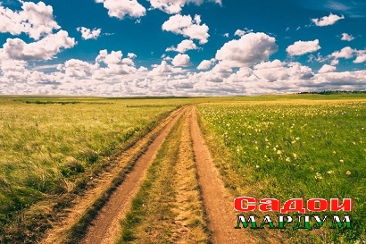 tmb_208839_9875