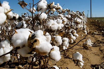 c4dc1a41-8781-48ce-9a65-4242f98e15d7