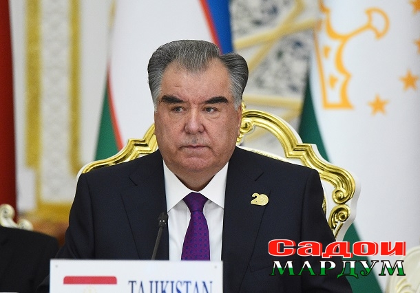 51487946880_4a5c3d9a8c_o