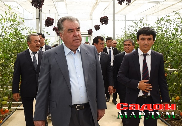 52100520216_460c518e72_o