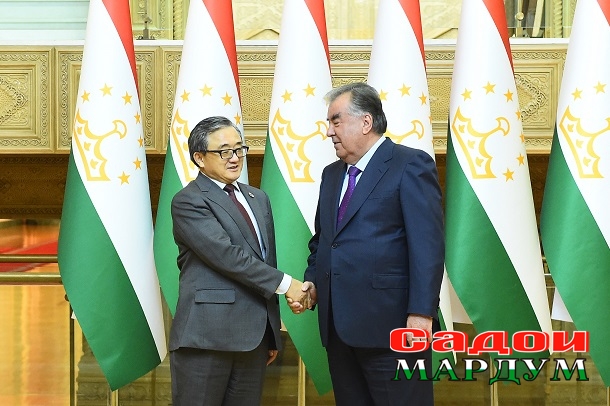 52125369337_96df260c45_o