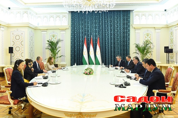 52126361876_7dc08ddb3c_o