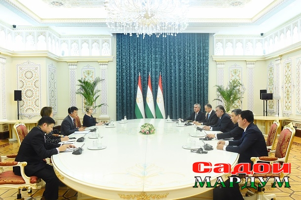 52126780255_e19085bcd7_o