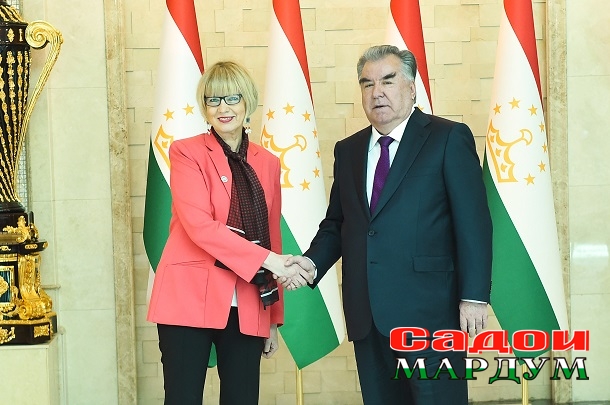 52128878074_869c4b9d3d_o