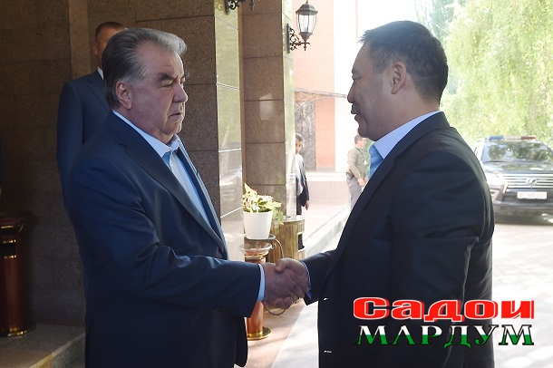 52231766490_657875952b_o