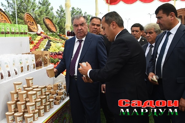 52273888931_cd0fd453f6_o