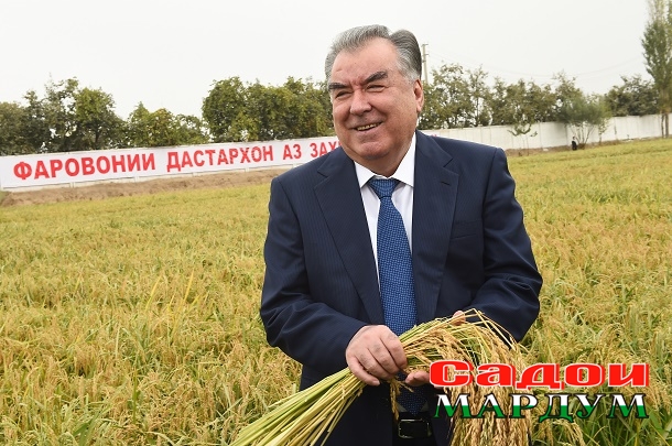 52401119281_50a7a35e34_o