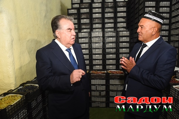 52401526279_1d350ac973_o