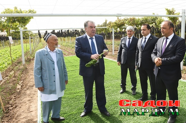 52401623419_3ca5374dda_o