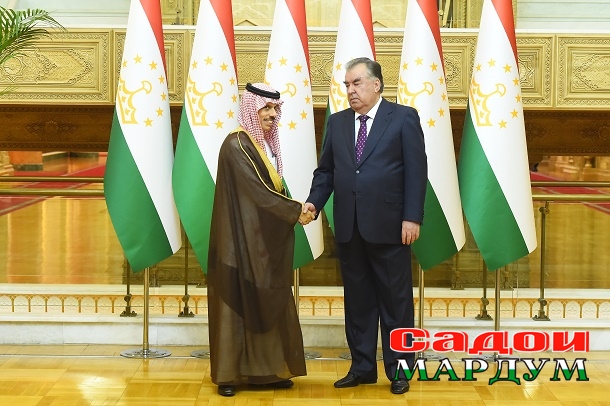 52402127248_39666890ae_o