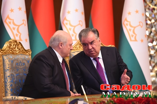 52419954822_fb1bc7fe2f_o