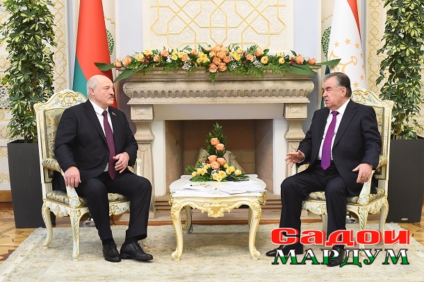 52420831075_87d842540a_o