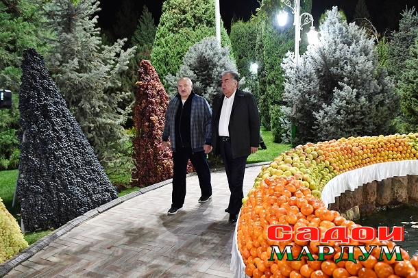 52422254405_8965575f6d_o