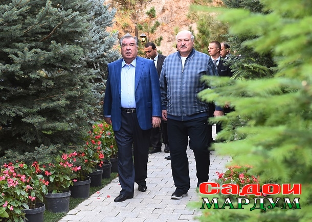 52422731899_63a8fea1f5_o