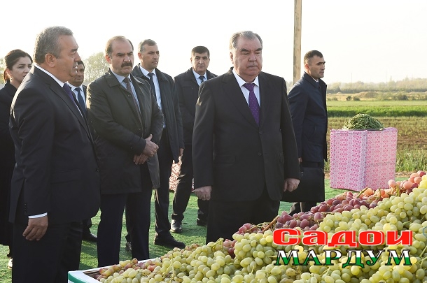 52469189087_9feaed1049_o