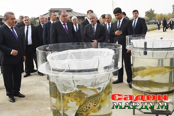 52470305055_f1e8ee00a5_o