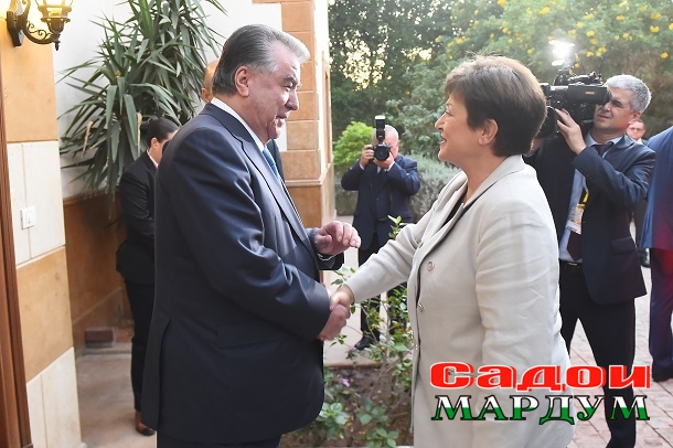 52481381294_13c0eb2754_o