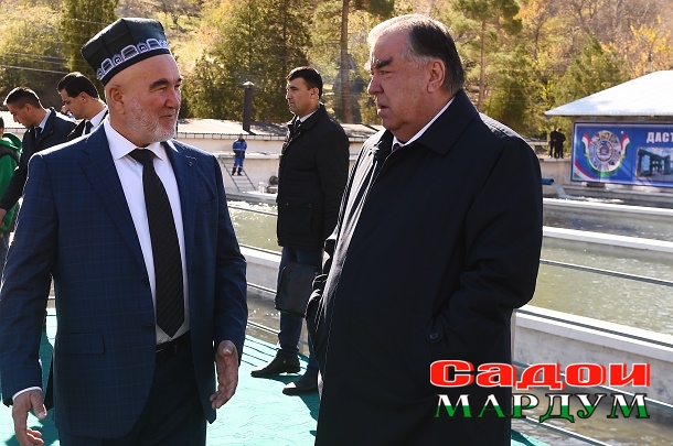 52490365794_38738037ce_o