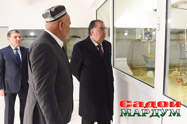 52490616293_59de7aa9e3_o