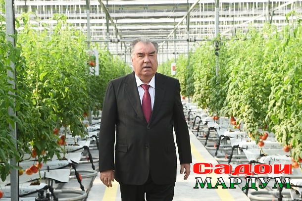 52496927485_ddff84fae1_o