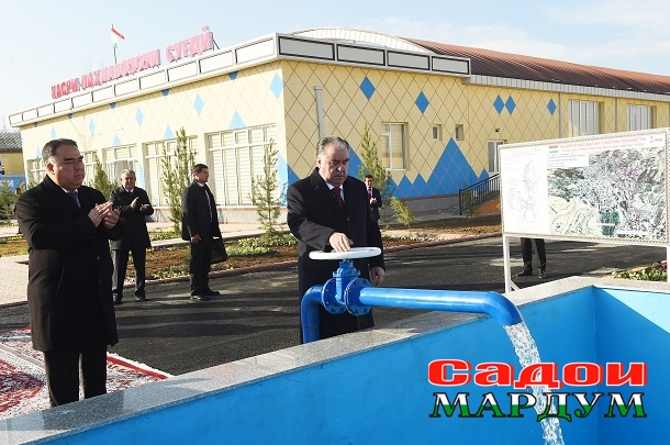 52499204925_bda20a7980_o