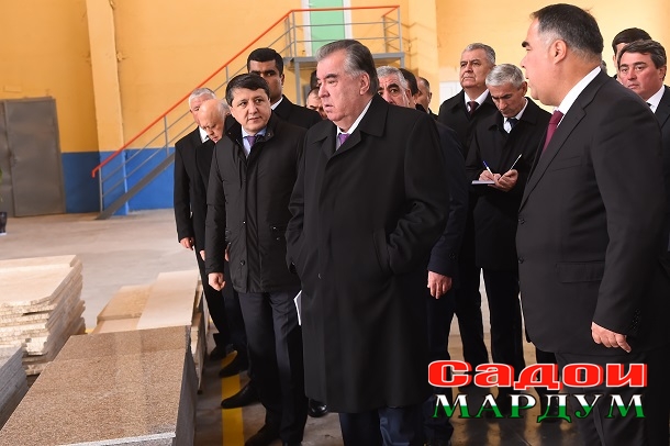 52501243106_ed40301eee_o