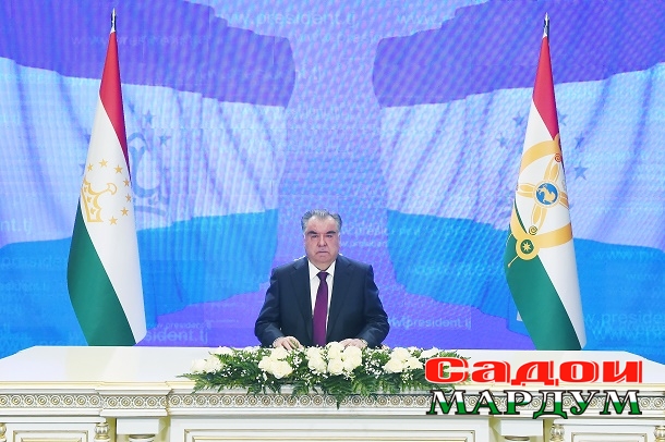 52519551056_c6462c69b3_o