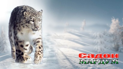 3b0083e05b2321a5d7ec3ee09795