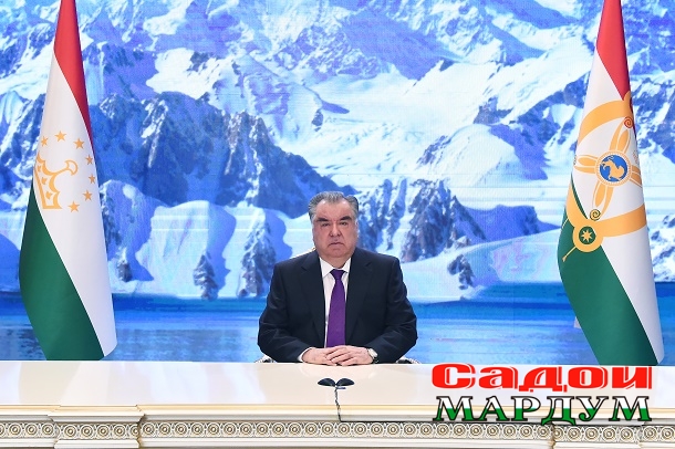 52453896308_aa8b403abf_o