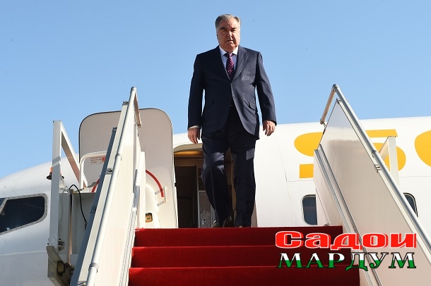 52563204488_de637bcbac_o