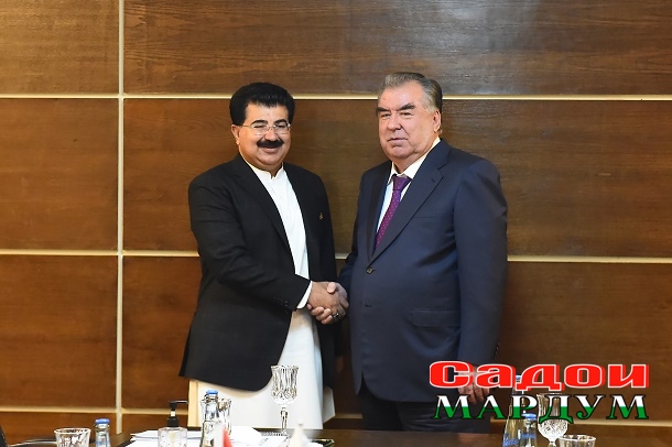 52564403991_c3f5de224f_o