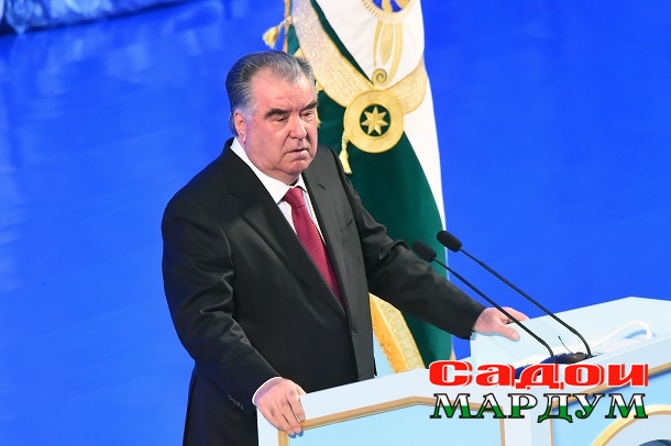 52590418622_bbc373480f_o