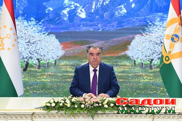 51946863981_f5b48c54bc_o