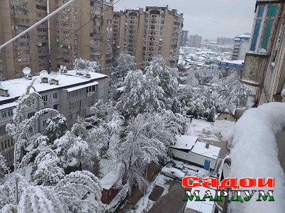 Маслихати муфид барои сайт