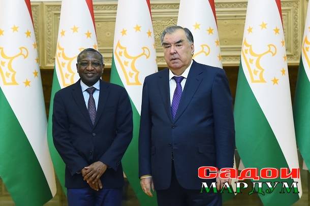 52672512281_c187562bcc_o