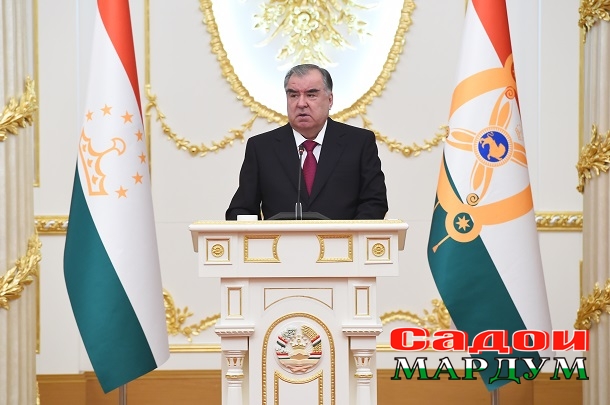 52702185481_c00988b76d_o