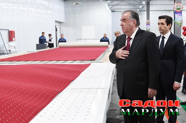 52779246070_e23a88b572_o