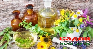 Бахор табобат