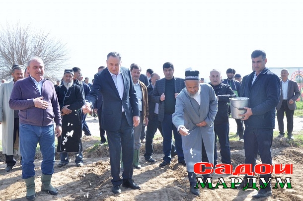 Кишти пунбадона 2