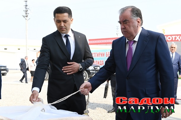 52785236056_c60c5c809a_o