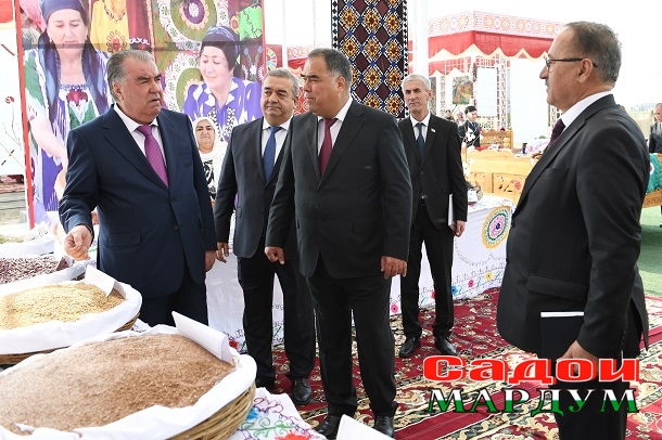 52785428869_e35440cdd9_o