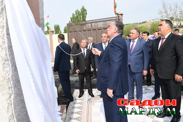 52785476994_576aecf592_o